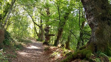 Imaxe: Fraga de Catasós