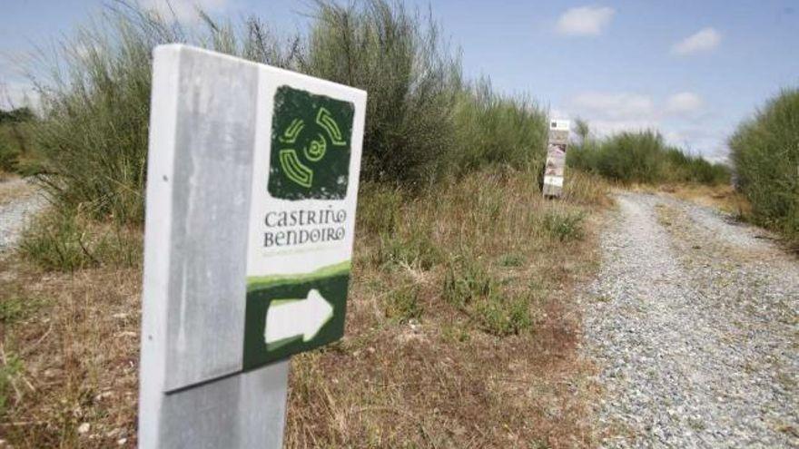 Imagen Castriño de Bendoiro