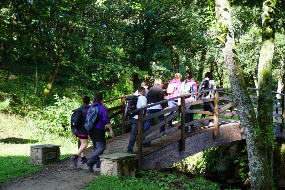 Imagen O CONCELLO RECIBE O CERTIFICADO DE HOMOLOGACIÓN DA RUTA DOS PAZOS E PONTE TABOADA