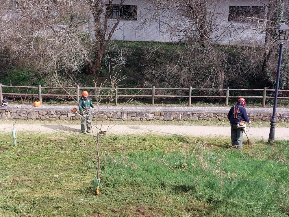 Imagen A SECCIÓN DE XARDINERÍA DE “LALÍN VERDE” DESENVOLVEU NESTES MESES INICIAIS TRABALLOS NO PASEO DO PONTIÑAS E NA FINCA DE MOURISCADE